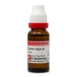 Salix nigra — Mother Tincture (Ø) (Dr. Reckeweg)