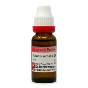 Adonis vernalis — Mother Tincture (Ø) (Dr. Reckeweg)