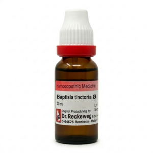 Baptisia tinctoria — Mother Tincture (Ø) (Dr. Reckeweg)
