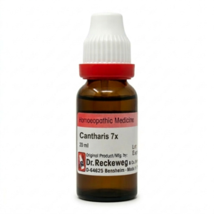 Cantharis — Mother Tincture (Ø) (Dr. Reckeweg)