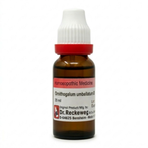 Ornithogalum umb — Mother Tincture (Ø) (Dr. Reckeweg)
