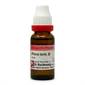 Pinus lamb — Mother Tincture (Ø) (Dr. Reckeweg)