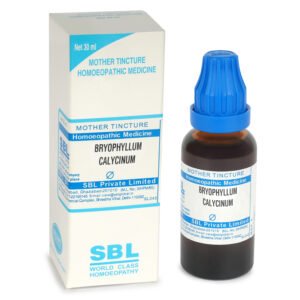 Bryophyllum Calycinum — Homeopathic Dilution (SBL)
