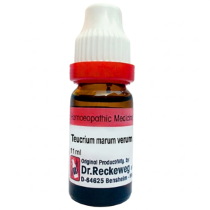Teucrum M.V. — Homeopathic Dilution (Dr. Reckeweg)