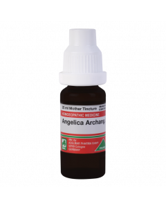 ADEL Angelica Archang Ø — Mother Tincture (Ø) (ADEL)
