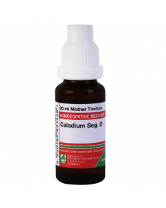 ADEL Caladium Seg Ø — Mother Tincture (Ø) (ADEL)