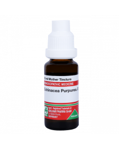 ADEL Echinacea purpurea Ø — Mother Tincture (Ø) (ADEL)