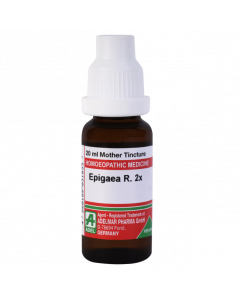 ADEL Epigaea R 2x — Mother Tincture (Ø) (ADEL)