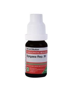 Epigea Repens — Homeopathic Dilution (ADEL)