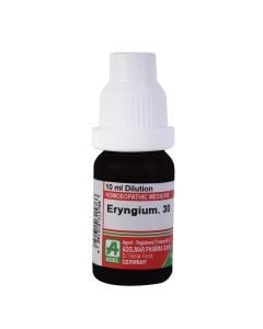 Eryngium — Homeopathic Dilution (ADEL)