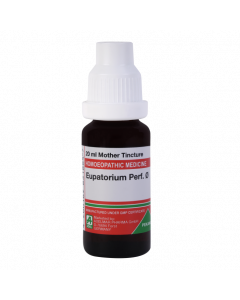 ADEL Eupatorium Perf Ø — Mother Tincture (Ø) (ADEL)