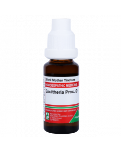 ADEL Gaultheria Proc Ø — Mother Tincture (Ø) (ADEL)