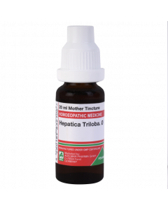 ADEL Hepatica Triloba Ø — Mother Tincture (Ø) (ADEL)