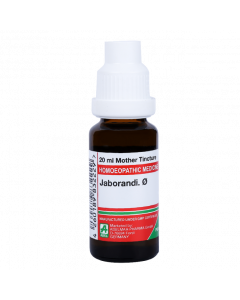 ADEL Jaborandi Ø — Mother Tincture (Ø) (ADEL)