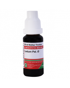 ADEL Ledum Pal Ø — Mother Tincture (Ø) (ADEL)