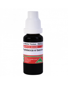 ADEL Phytolacca e baccis Ø — Mother Tincture (Ø) (ADEL)