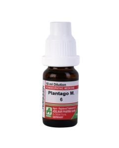 Plantago M — Homeopathic Dilution (ADEL)