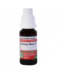 ADEL Plantago Major Ø — Mother Tincture (Ø) (ADEL)
