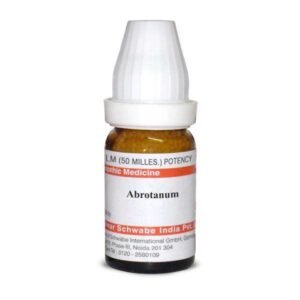Abrotanum LM — Homeopathic Dilution