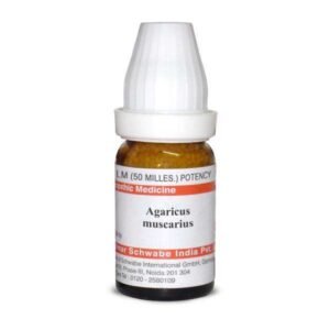 Agaricus muscarius LM — Homeopathic Dilution