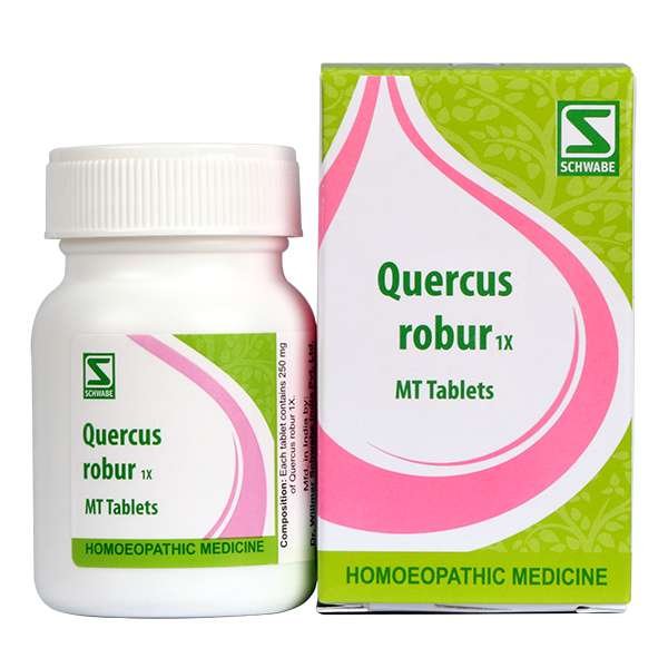 Schwabe Quercus robur 1x