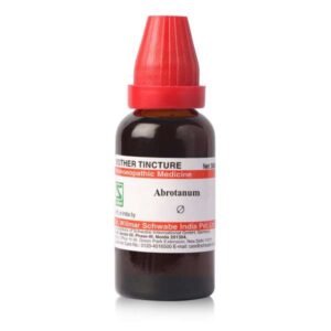 Abrotanum — Mother Tincture (Ø)