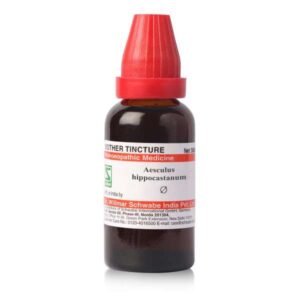 Aesculus hippocastanum — Mother Tincture (Ø)
