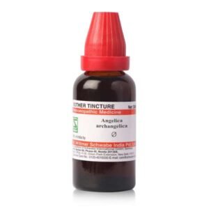 Angelica archangelica — Mother Tincture (Ø)