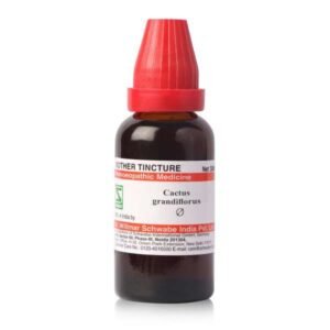 Cactus grandiflorus — Mother Tincture (Ø)