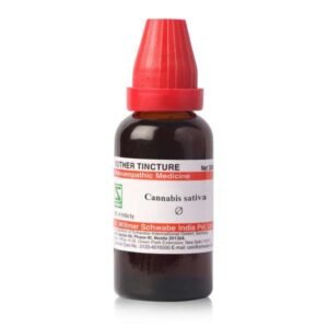 Cannabis sativa — Mother Tincture (Ø)