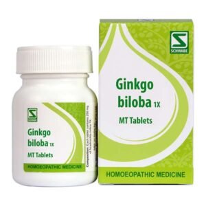 Schwabe Ginkgo biloba 1X
