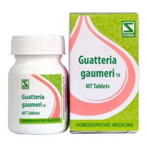 Schwabe Guatteria gaumeri 1x
