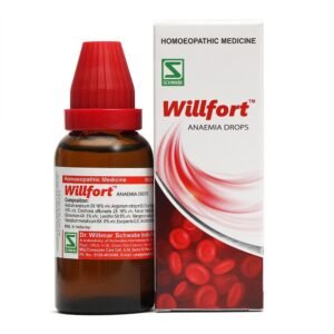 Schwabe Willfort