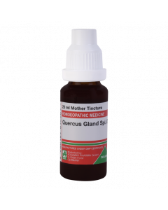 ADEL Quercus Gland Spi Ø — Mother Tincture (Ø) (ADEL)