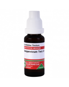 ADEL Sempervivum Tect Ø — Mother Tincture (Ø) (ADEL)