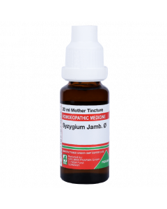 ADEL Syzygium Jamb Ø — Mother Tincture (Ø) (ADEL)
