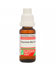 ADEL Teucrium Mar Ver Ø — Mother Tincture (Ø) (ADEL)