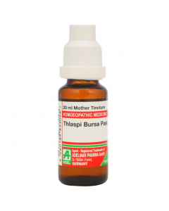 ADEL Thlaspi Bursa Past Ø — Mother Tincture (Ø) (ADEL)