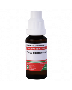 ADEL Yucca Filamentosa Ø — Mother Tincture (Ø) (ADEL)
