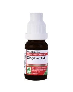 Zingiber — Homeopathic Dilution (ADEL)